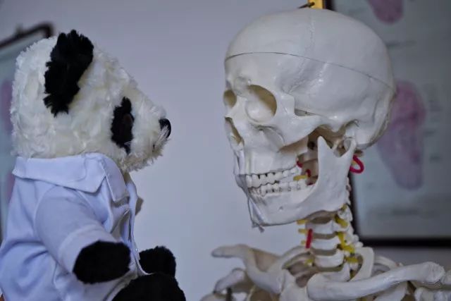 在中医诊所要做什么,在北中医读研的体验