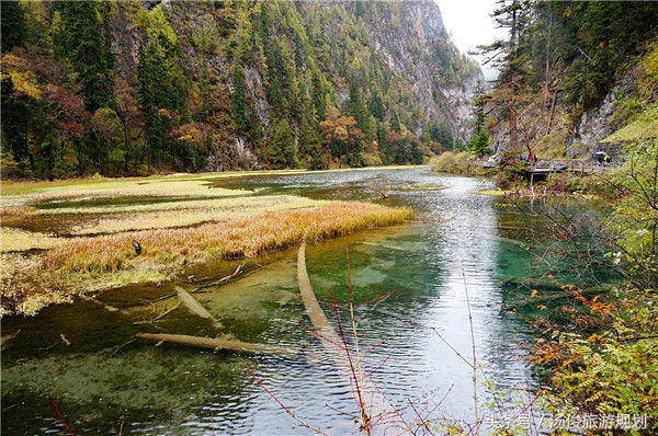 花样百出！国内旅游中常见的*局骗**，你中招了吗？