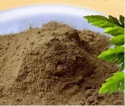 身上出了一片一片的小疙瘩,身上出来小疙瘩硬硬的有黄水