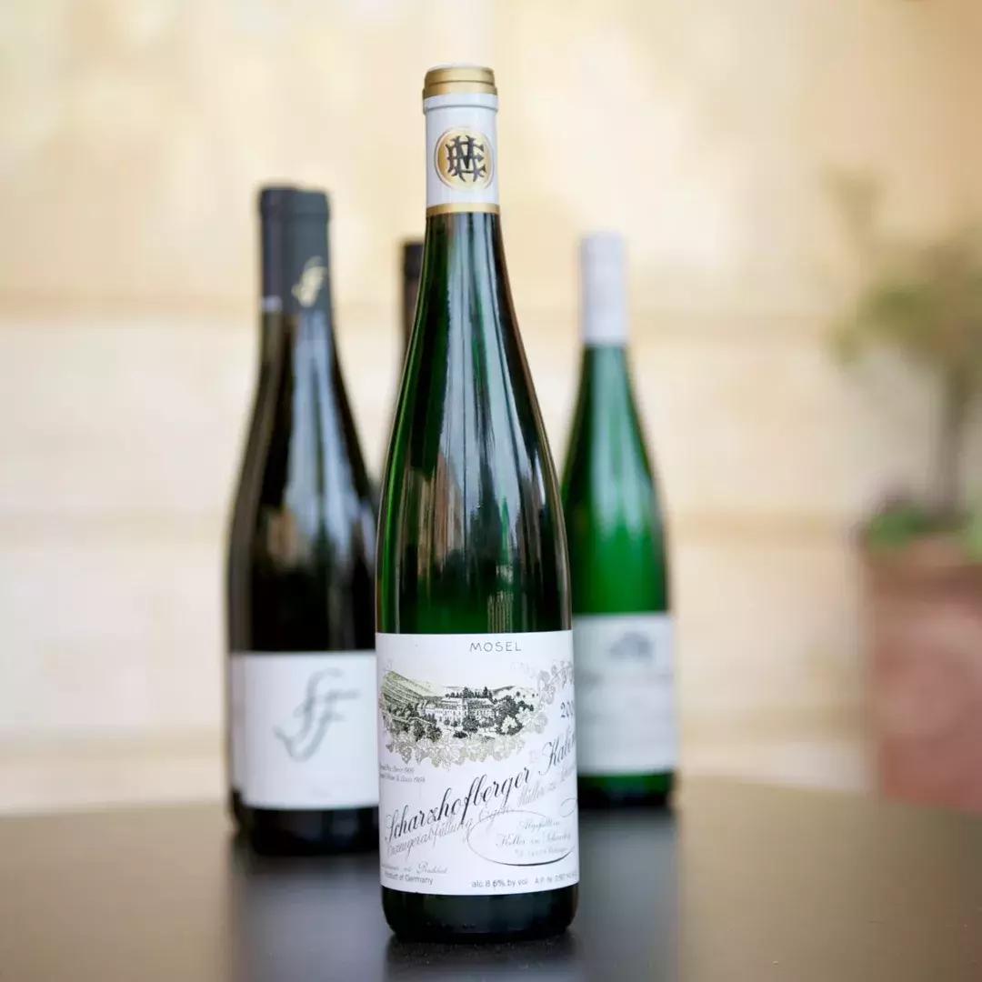 世界杯实力对比,世界杯打败葡萄牙西班牙