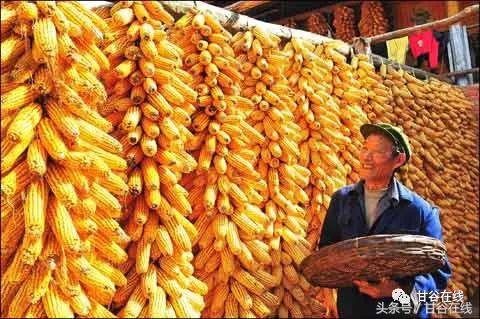 你会说不会写的甘谷方言,甘谷方言土语大全