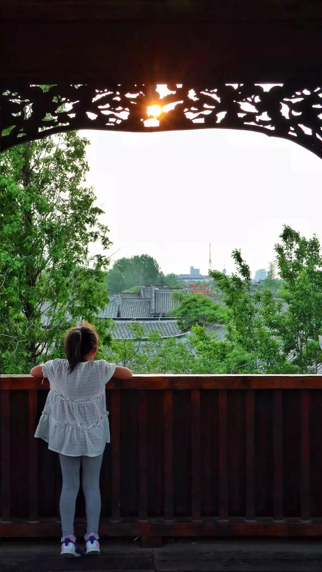 台儿庄古城最新免票政策,台儿庄古城对临沂人免门票吗