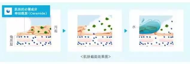 这些才是适合敏感肌用的护肤品,这三种成分就是敏感肌的救星