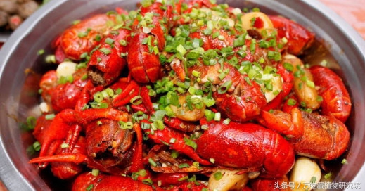 涓栫晫鏉樋鏍瑰环鐗╄祫,涓栫晫鏉壒鏁堣嵂