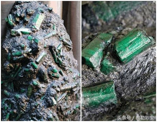 巴西在世界杯以往比赛,巴西被德国世界杯打败