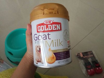 狗狗羊奶粉怎么喂,狗狗喂羊奶粉的正确方法