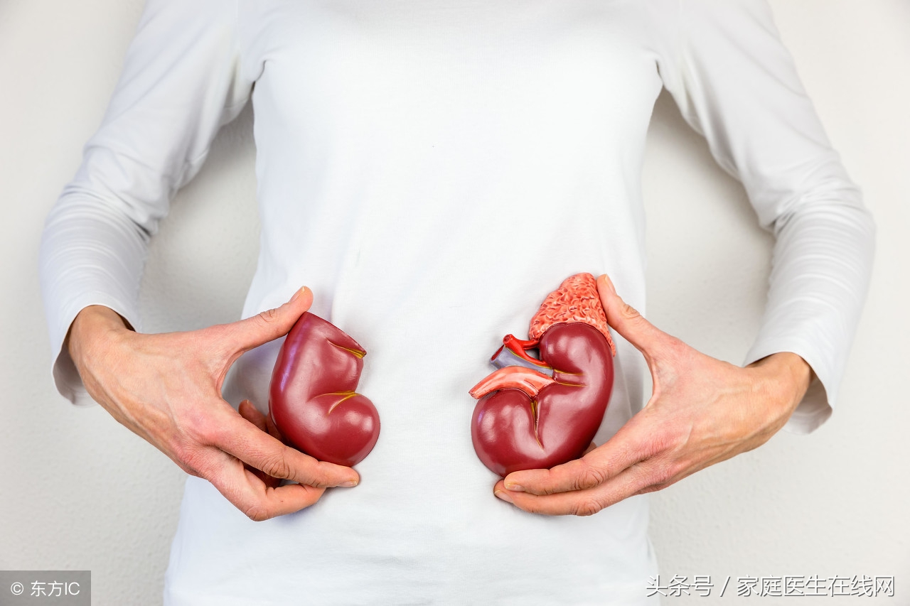 长期吃太饱身体机能下降,长期吃太饱智商会怎么样