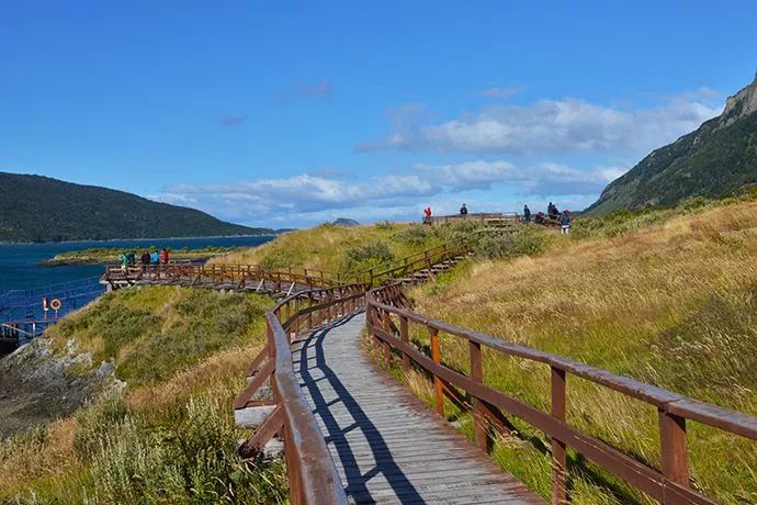 世界杯决赛潘帕斯雄鹰高卢,格子军团vs潘帕斯雄鹰复仇之刃