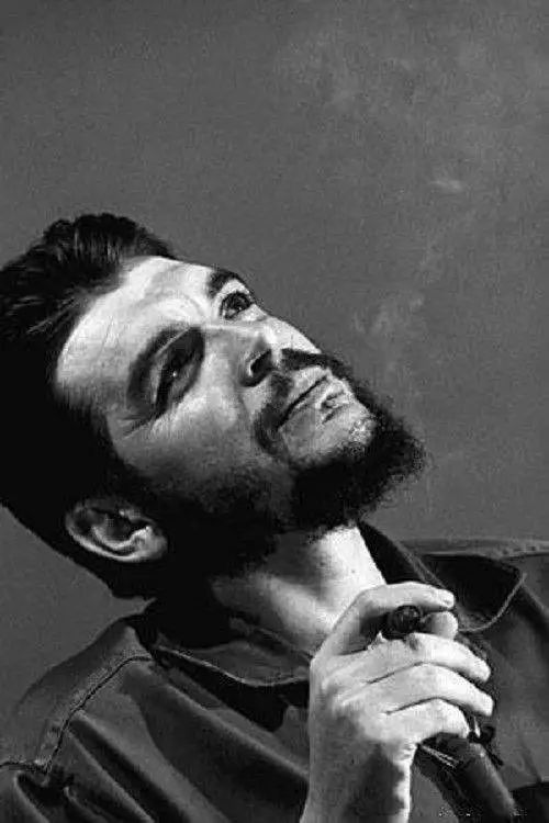 世界杯决赛潘帕斯雄鹰高卢,格子军团vs潘帕斯雄鹰复仇之刃