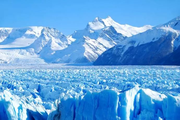 世界杯决赛潘帕斯雄鹰高卢,世界杯潘帕斯进球