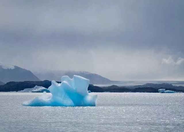 世界杯决赛潘帕斯雄鹰高卢,世界杯潘帕斯进球