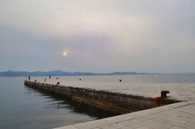 世界杯决赛潘帕斯雄鹰高卢,世界杯潘帕斯进球