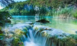 世界杯决赛潘帕斯雄鹰高卢,世界杯潘帕斯进球