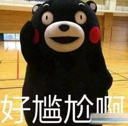 竞彩世界杯几点开售,世界杯竞彩多久停售