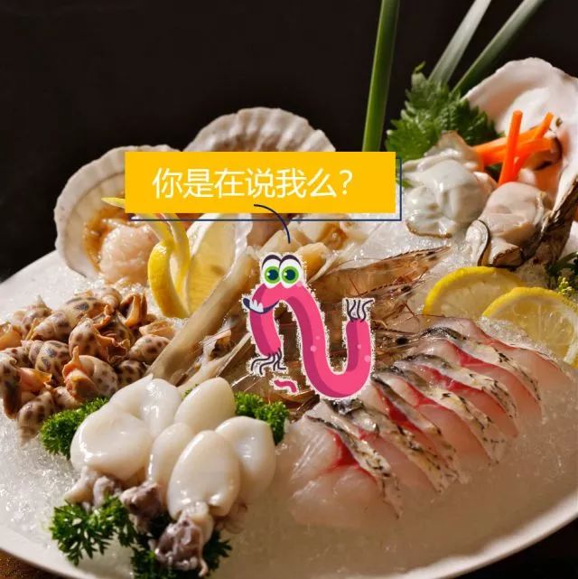 不容错过精彩视频,不容错过的精彩