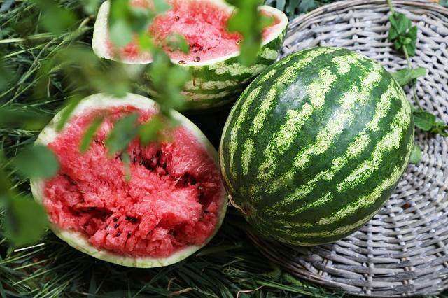 患上宫颈炎别怕,只要养好它!去腐生肌,消除炎症,少患妇科病