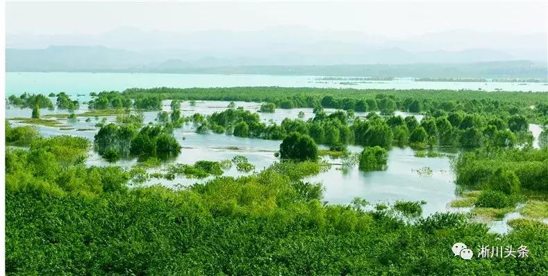 淅川来了仨“老外”，干啥？