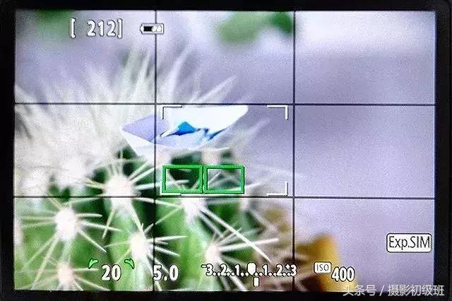 玩微距配哪些器材,玩摄影应该选择什么摄影机