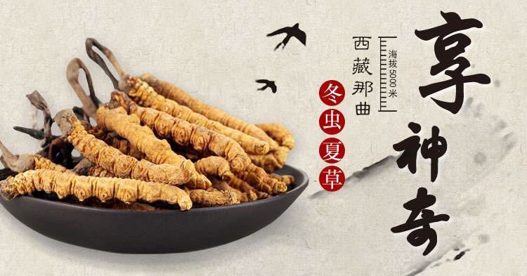 肾炎吃冬虫夏草能治好吗,冬虫夏草能治愈慢性肾病吗