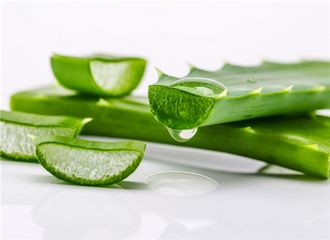 被蚊子咬了别擦药，试试这几样东西，涂点马上止痒