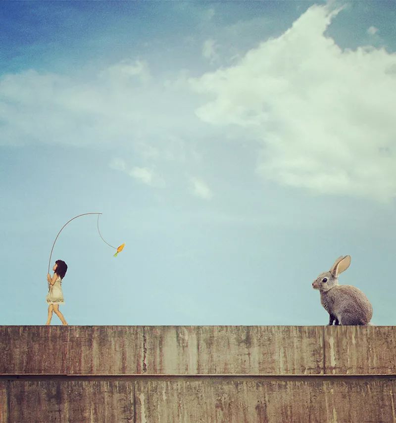 10个干货教你玩转产品摄影,干货分享拍什么视频合适