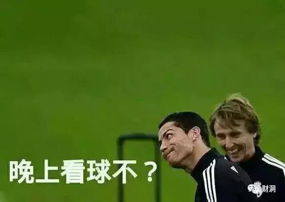 世界杯冠军总决赛竞彩,世界杯竞彩