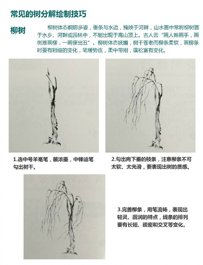 零基础学国画树干的画法视频,零基础画树教程