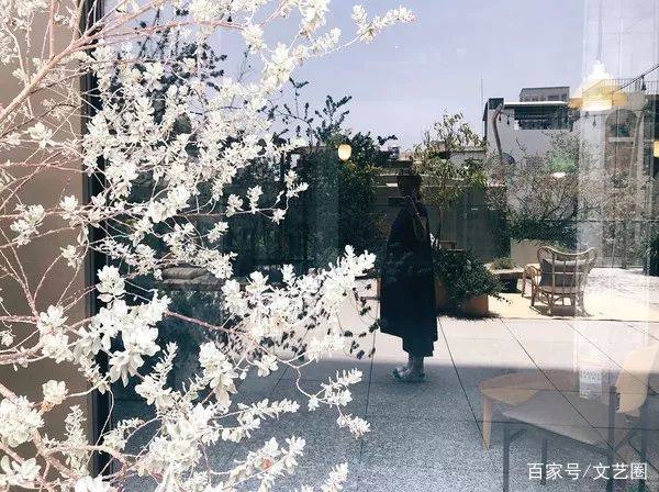 谢霆锋林宥嘉,林宥嘉谢霆锋温岚张惠妹