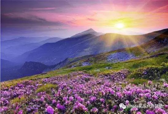 六月份适合旅游的地方,六月适合去哪里自驾游