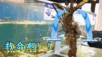 天津看球的五大场所,天津世界杯看球赛的地方