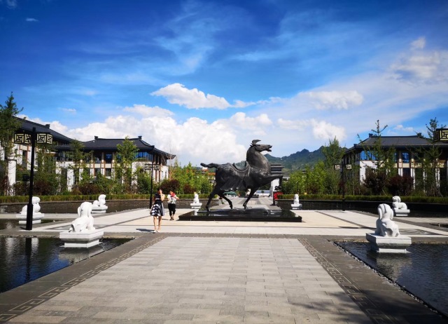 冠军荣耀中国行组委会,冠军荣耀篮球队