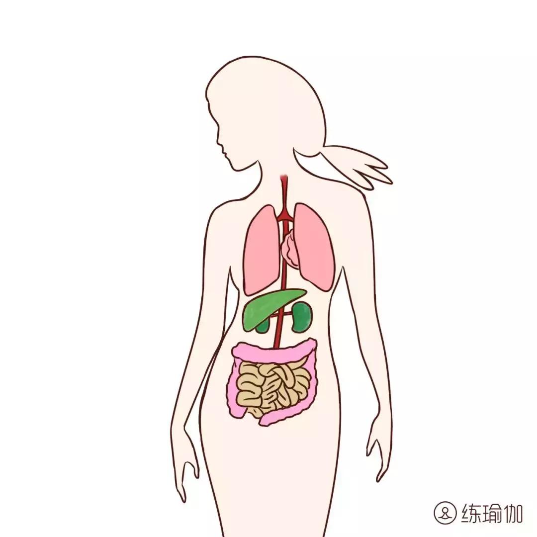 倒立教学步骤及保护方法,倒立最好看的几个动作