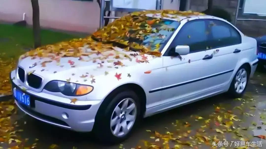 烈日车停在树下,烈日下暴晒车会怎么样