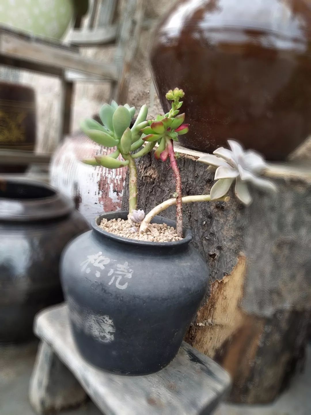 家里摆放凌乱废旧物品,家里的这些旧物别急着扔