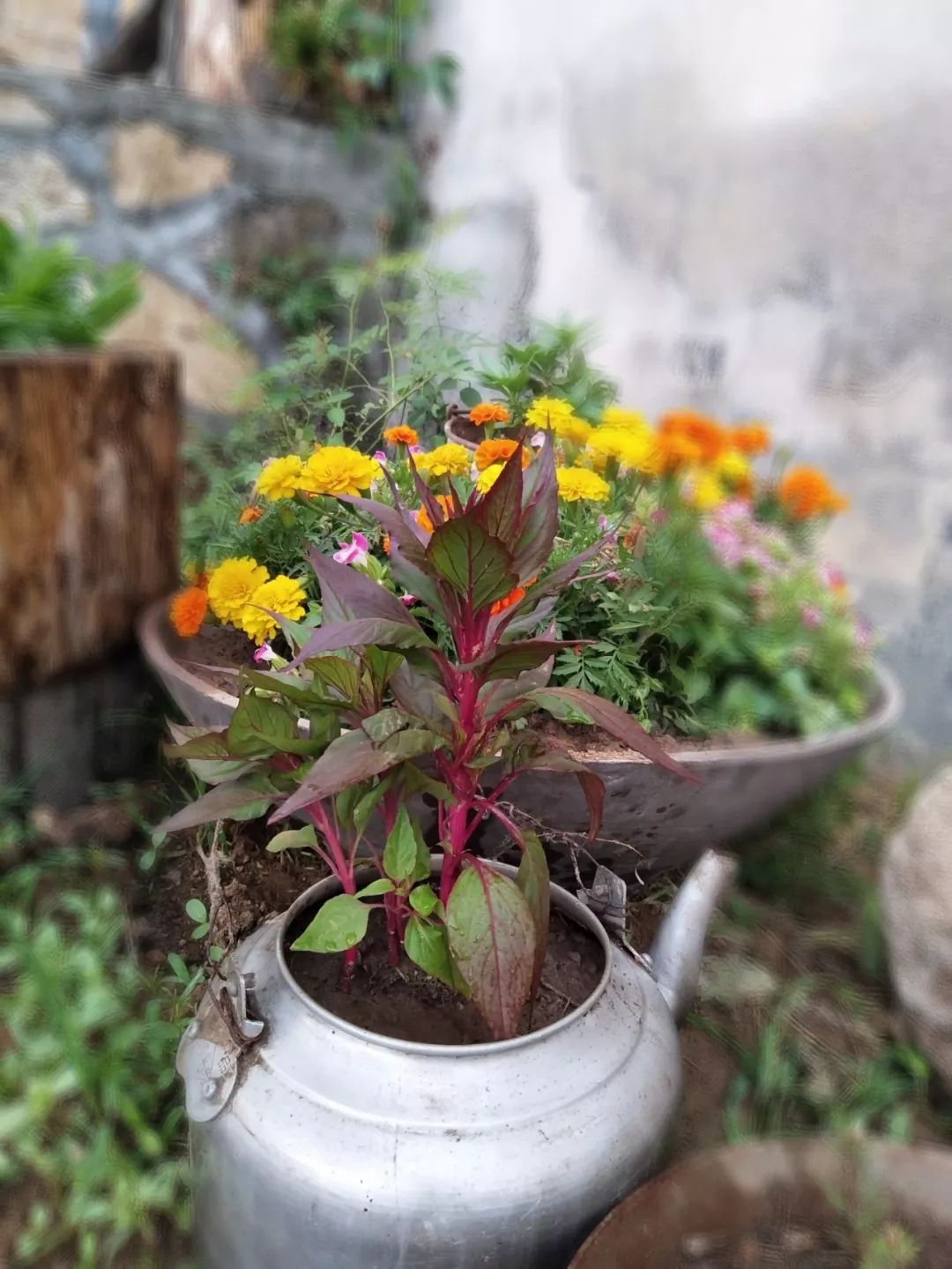 家里摆放凌乱废旧物品,家里的这些旧物别急着扔