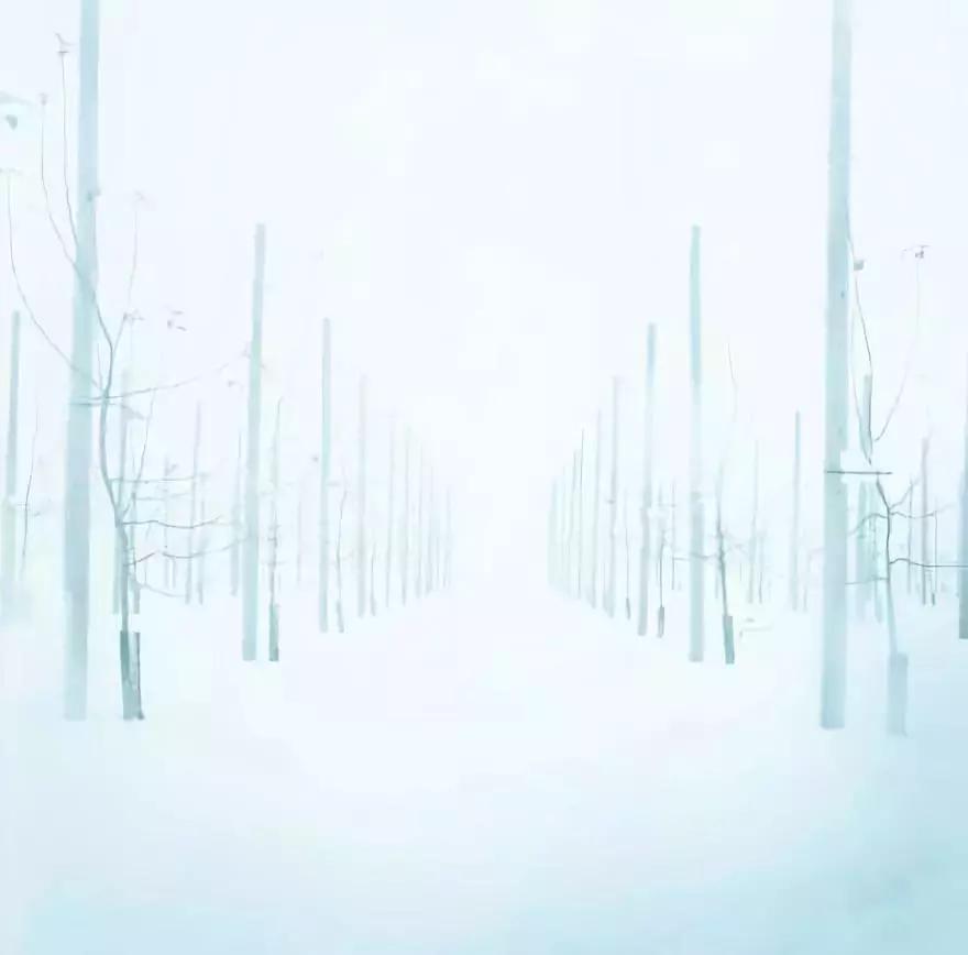 把对某人的感情当成是投资，是可怕的