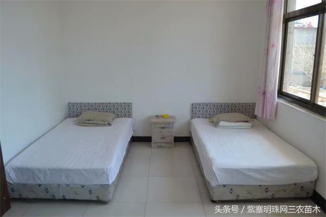 南戴河*哥涛**农家院（成杰宾馆）云烟天外黄金缕，渔火滩头绿酒家！