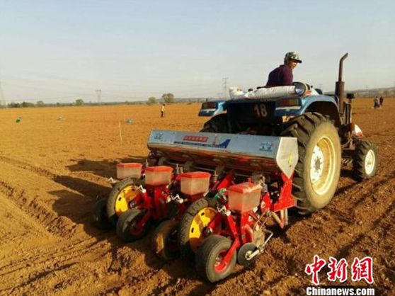 国家节日放假各几天,每年国家法定节日放假多少天