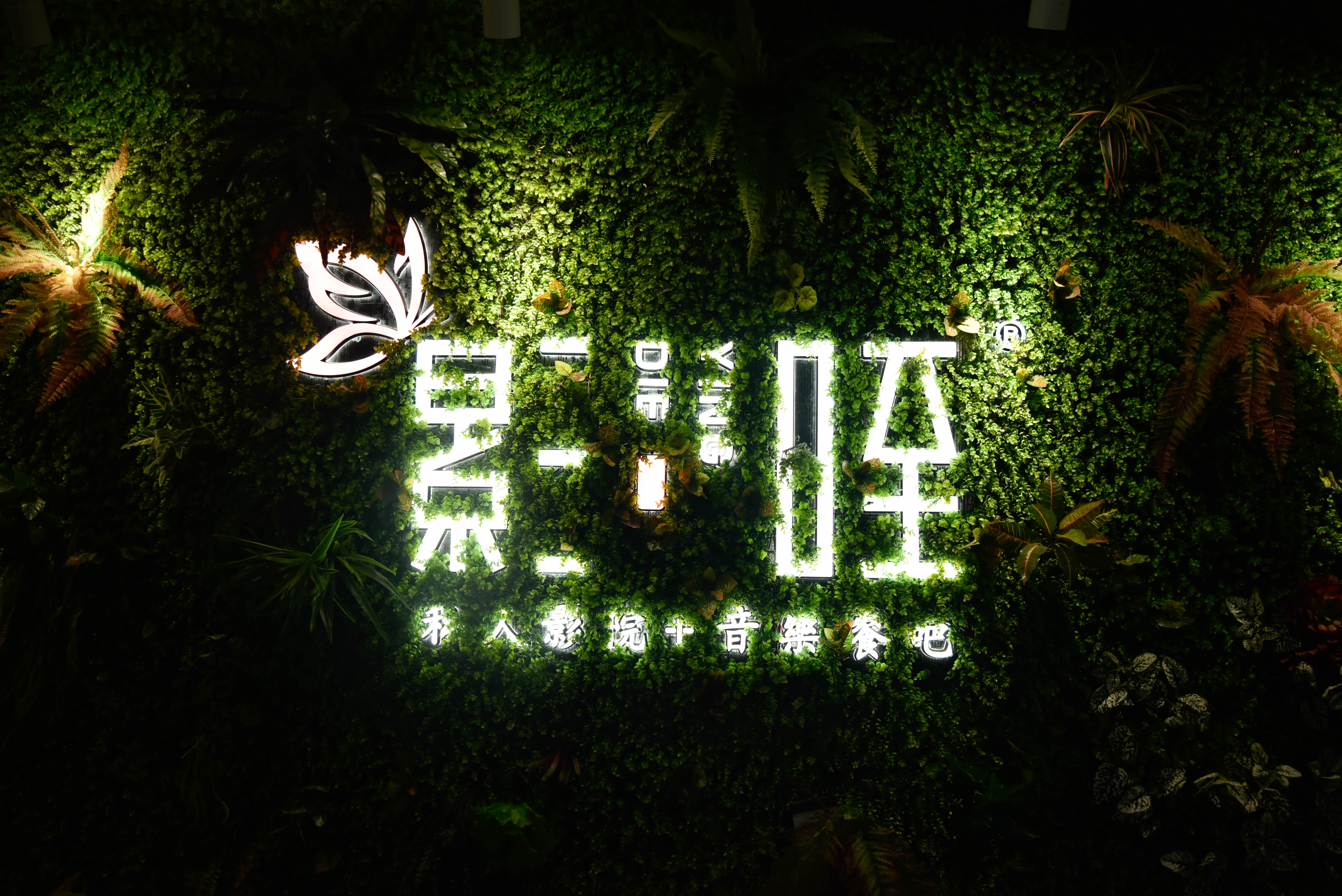 有球必应花果园,有球必应篮球公园