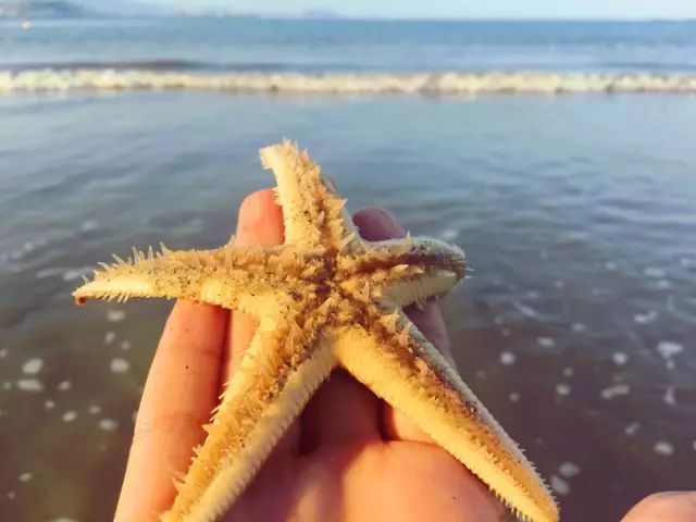 南昌周边有海的城市一日游,南昌周边一个小时可到的风景区