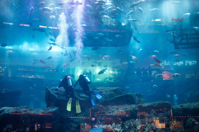 迪拜左手沙漠右手大海飞跃千里为你来——今夕传媒旅行家出品