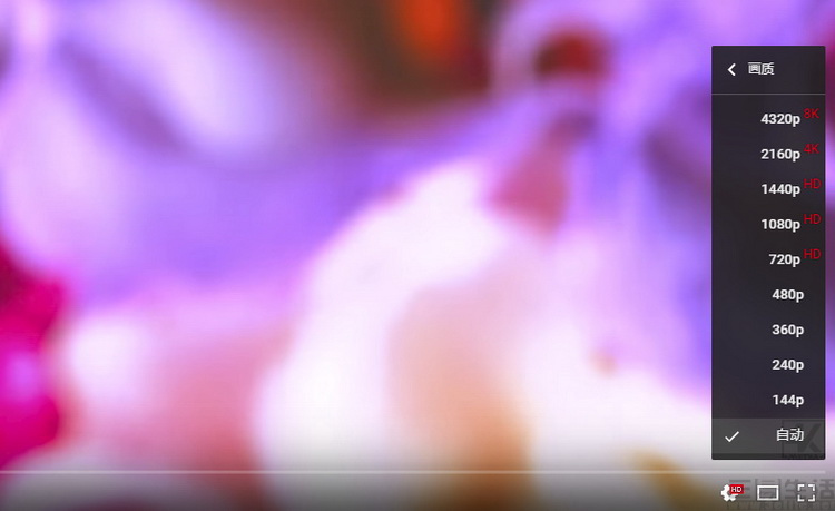 世界杯高清回放,世界杯中看不见的视频