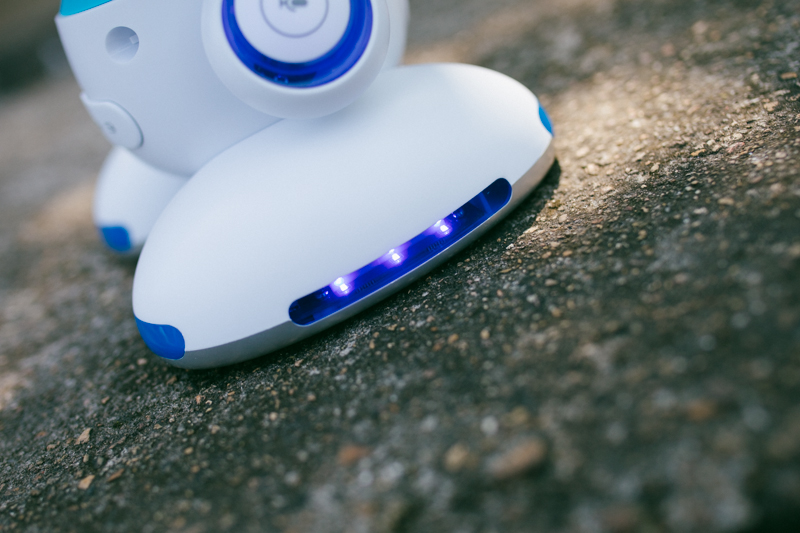 小乐智能教育机器人多少钱,小乐智能教育学习机