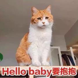 世界杯足球金句,世界杯土话对话