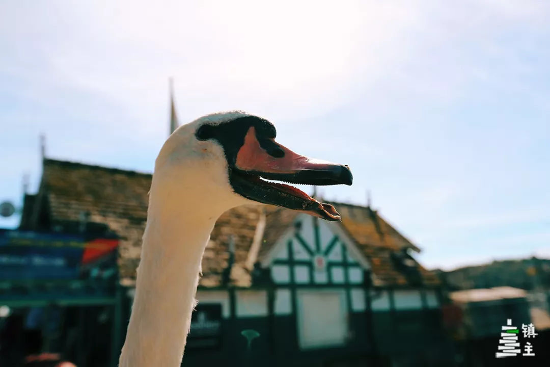 英国彼得兔故居,探寻英国小镇书