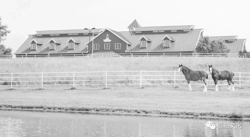 助力世界杯的三大啤酒厂，“啤酒+旅游”为何做的这么好？