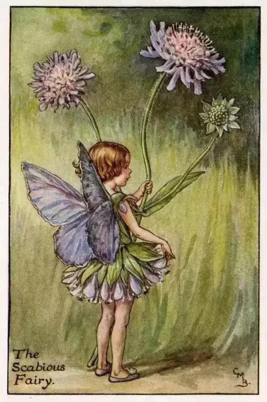 酷萌可爱插画,呆萌可爱的插画