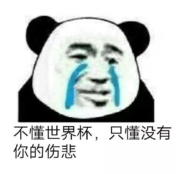 世界杯最经典的土味情话,世界杯激动人心语录