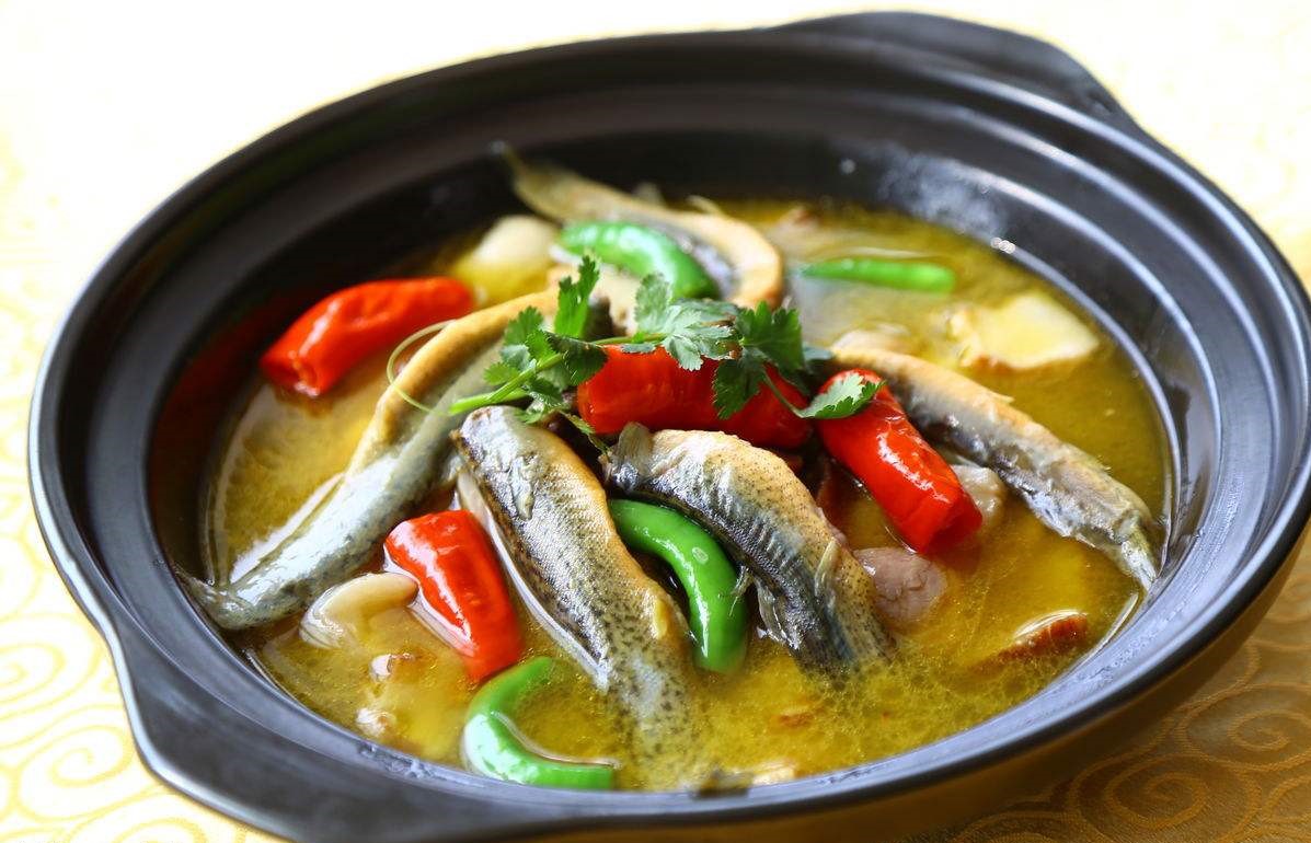 黄瓜炖泥鳅怎么做才好吃又简单,黄瓜与泥鳅能一块吃吗视频