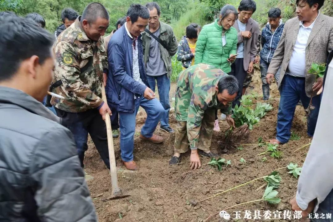 小偷偷钱打赏女主播,男子打赏女主播偷井盖
